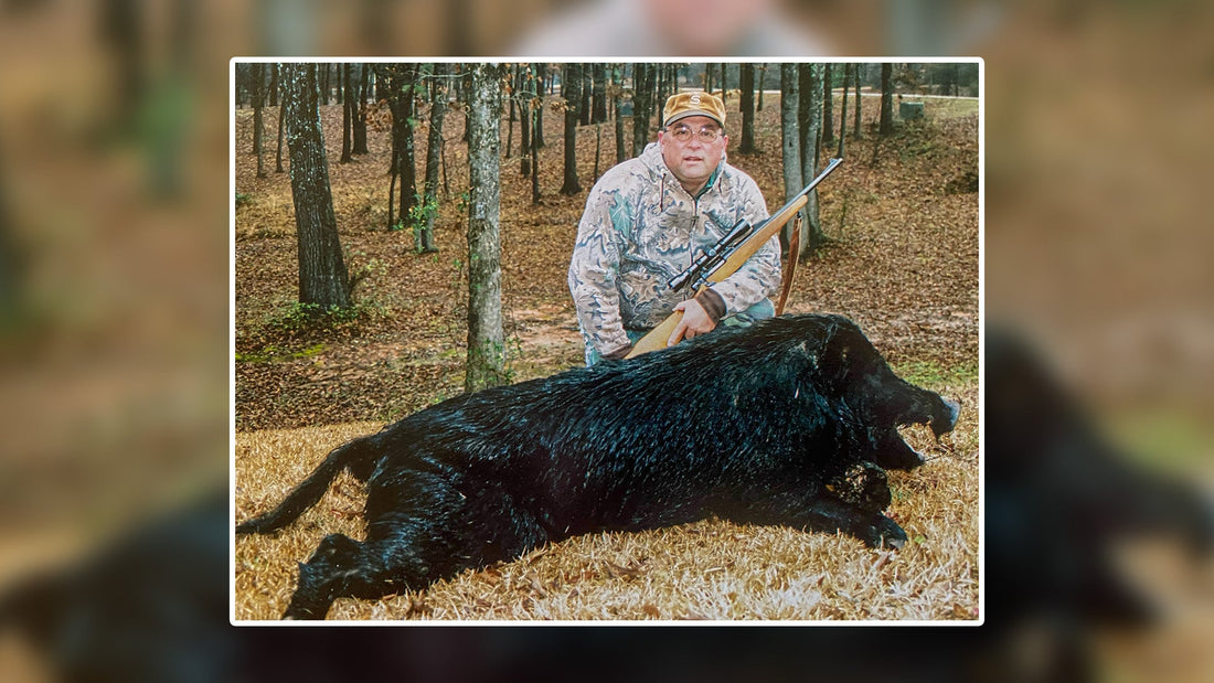 Arkansas Razorback - Story Behind The Mount