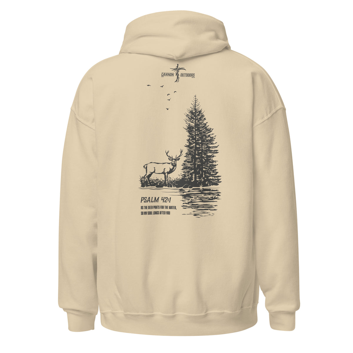 Psalm 42:1 - My Soul Longs After You Hoodie
