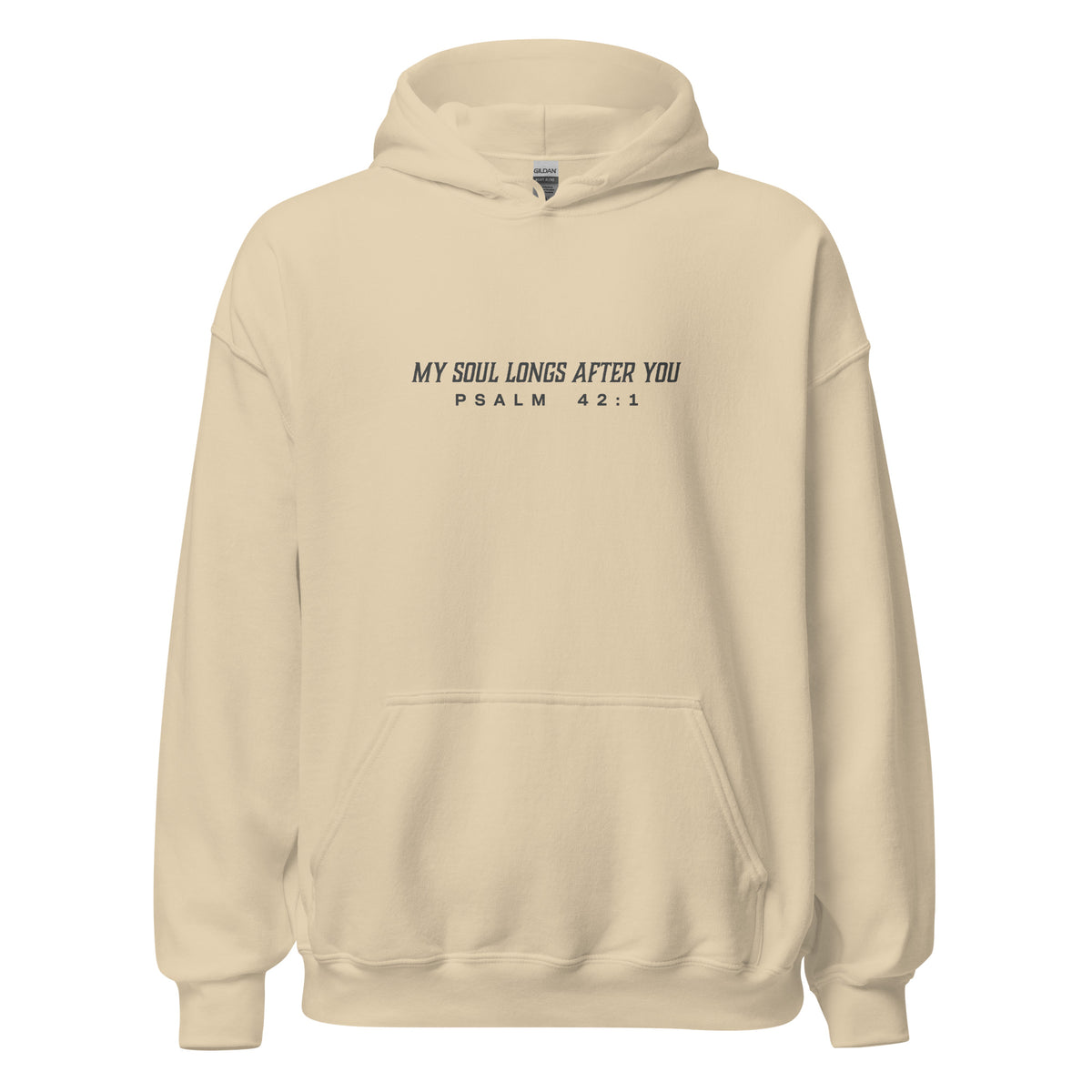 Psalm 42:1 - My Soul Longs After You Hoodie
